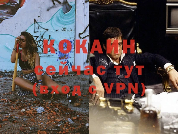 трава Абаза
