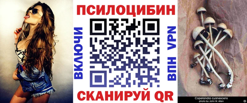 нарко площадка какой сайт  Котовск  Галлюциногенные грибы мухоморы 